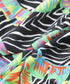 オム HOM ASIA Comfort Micro Briefs Print メンズ ブリーフ 【メール便】